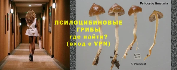 PSILOCYBIN Ельня